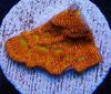 WYSIWYG - JF Jack 'O Lantern Leptoceris Frag