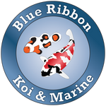 Blue Ribbon Koi & Marine